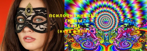 ПСИЛОЦИБИНОВЫЕ ГРИБЫ Волосово