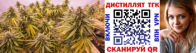 Купить закладки  Ленск  ТГК жижа 